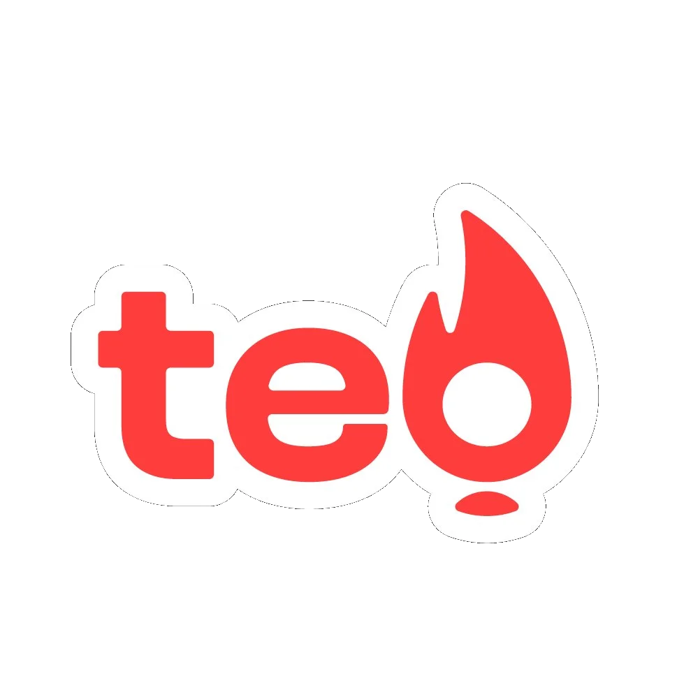 Teo logo